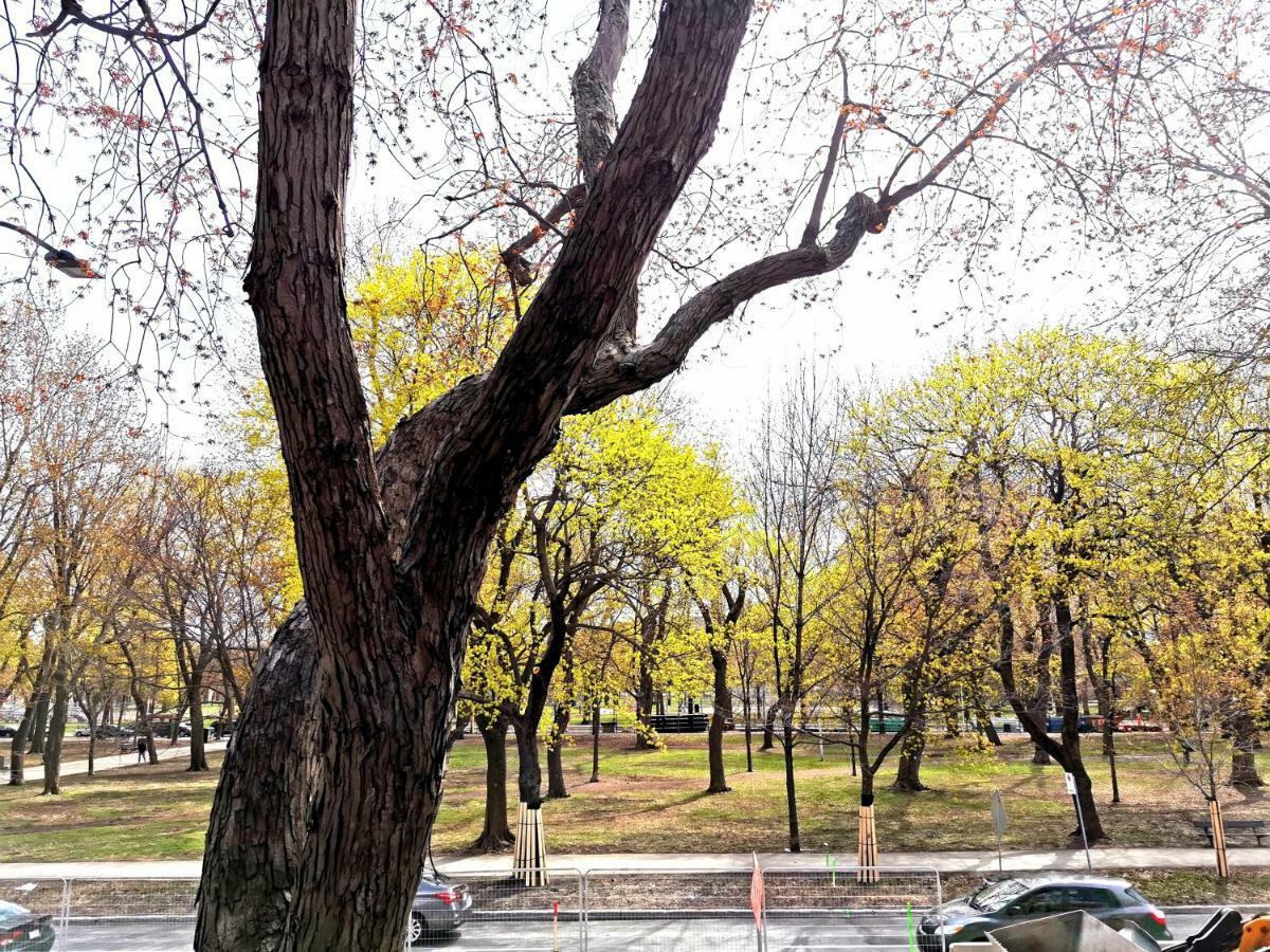 Accueil Chez Francois Bed & Breakfast Montreal Ngoại thất bức ảnh